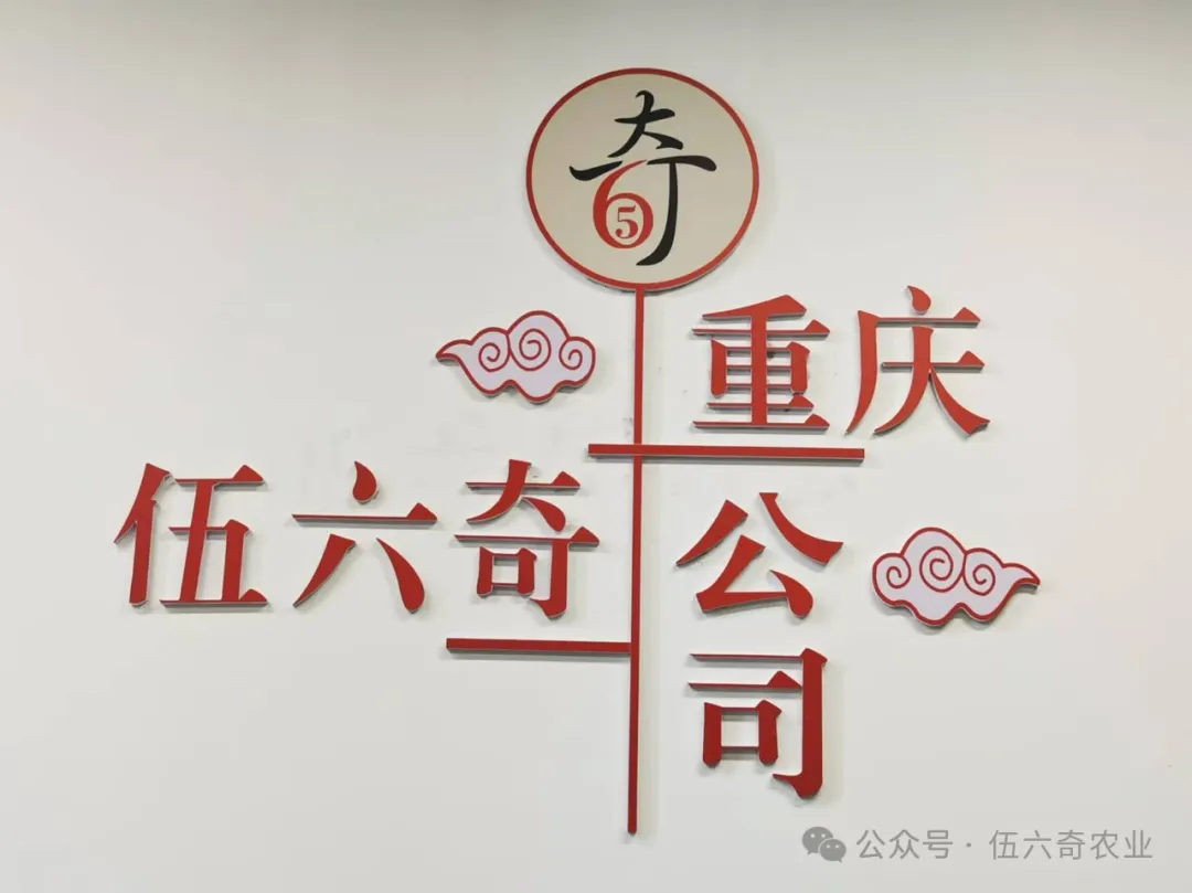伍六奇2025元旦寄语